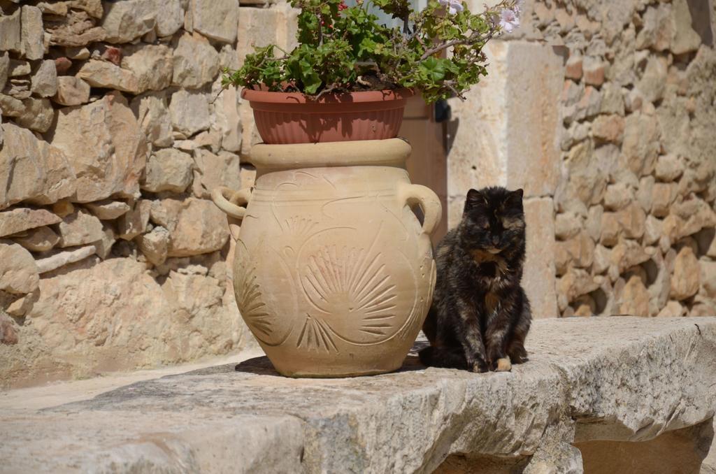 Casina Di Grotta Di Ferro Guest House Santa Croce Camerina Luaran gambar